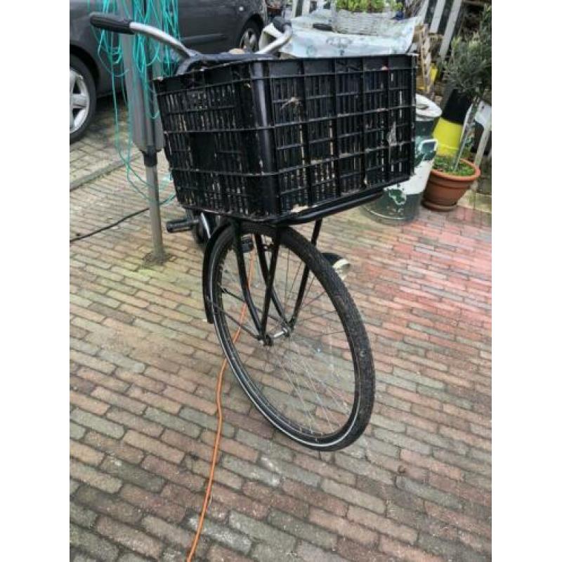 Omafiets Barok
