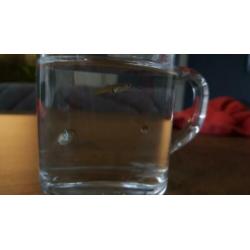 4 gratis jonge guppy's