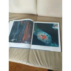 Boek: Satelliet, beeldende kunst