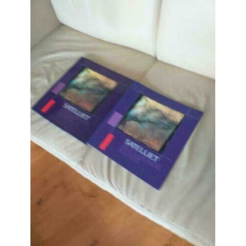 Boek: Satelliet, beeldende kunst