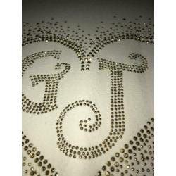 Guess shirt lange mouw met applicatie steentjes