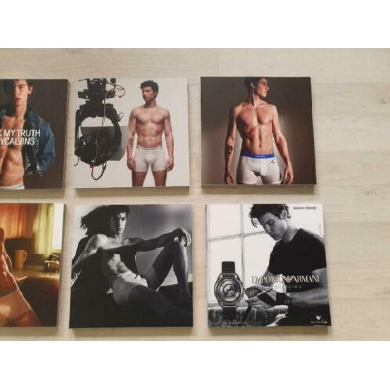 Shawn Mendes - Foto's/Schilderijtjes 20 bij 20 CM. NIEUW!