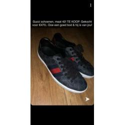 Gucci schoenen