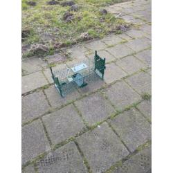 Te koop inloop kooien