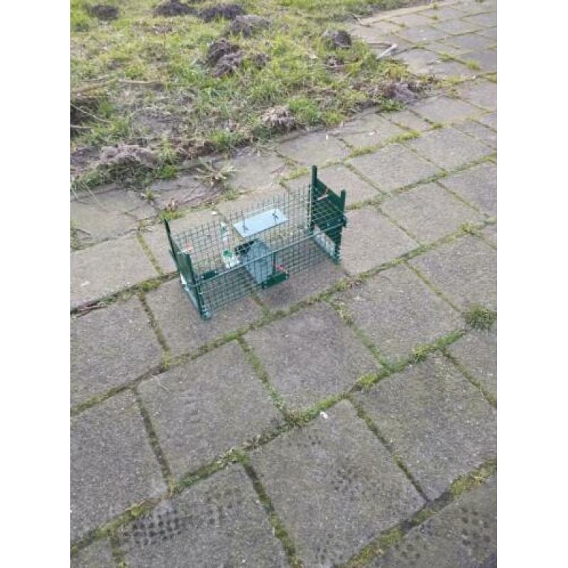 Te koop inloop kooien