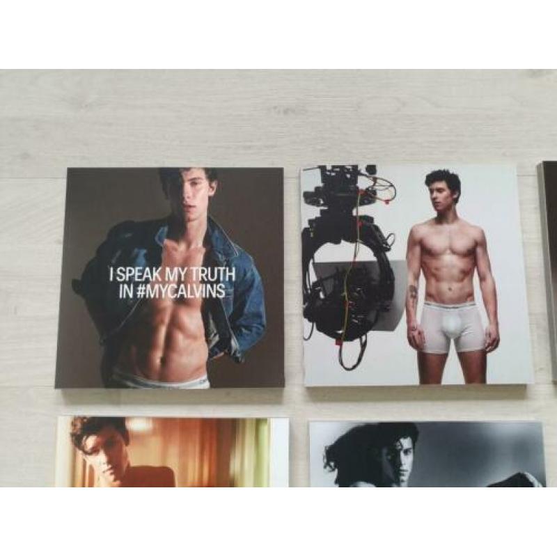 Shawn Mendes - Foto's/Schilderijtjes 20 bij 20 CM. NIEUW!