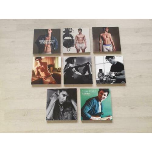 Shawn Mendes - Foto's/Schilderijtjes 20 bij 20 CM. NIEUW!