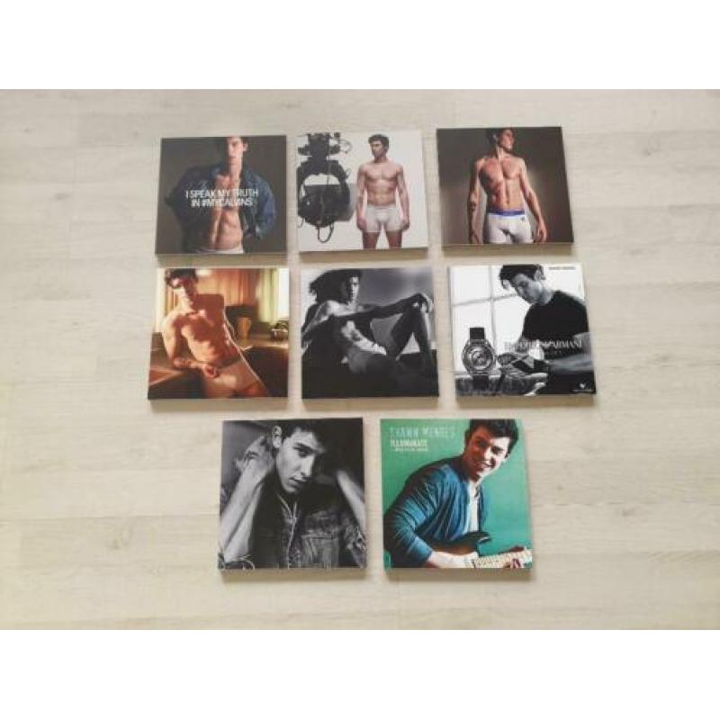 Shawn Mendes - Foto's/Schilderijtjes 20 bij 20 CM. NIEUW!