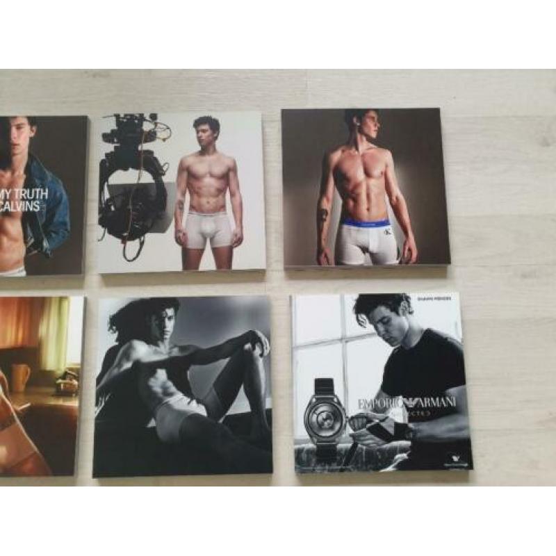 Shawn Mendes - Foto's/Schilderijtjes 20 bij 20 CM. NIEUW!