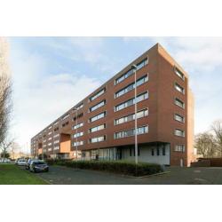 Frank van Borselenstraat 67, 3132 JD Vlaardingen, NLD