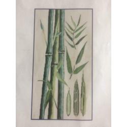 Nieuw borduurpakket "BAMBOO"
