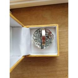 Zilveren ring 'bloemen' maat 20 / 63
