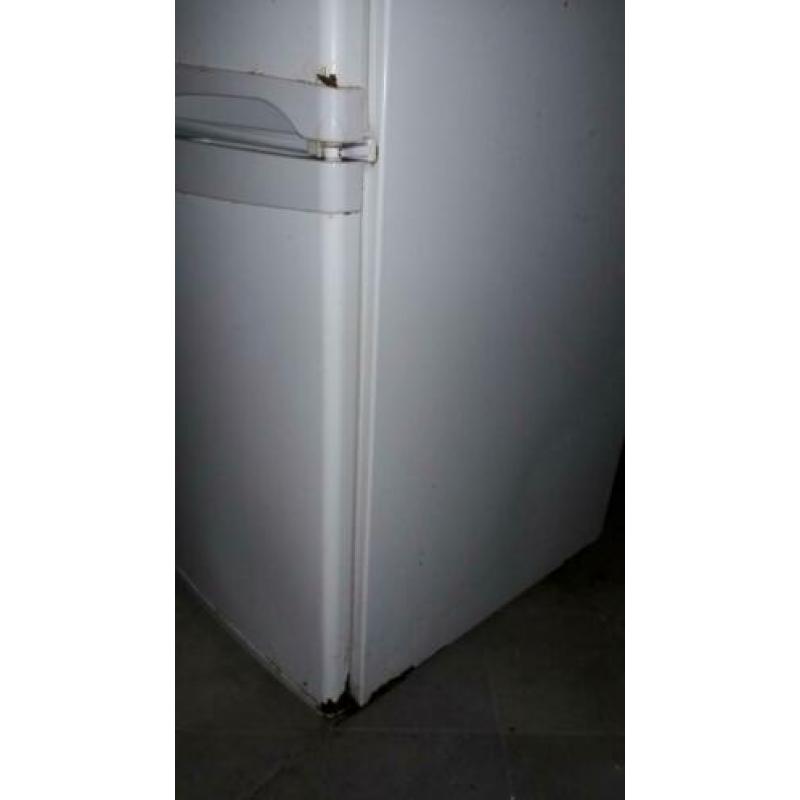 Ignis koel/vries 146 hoog