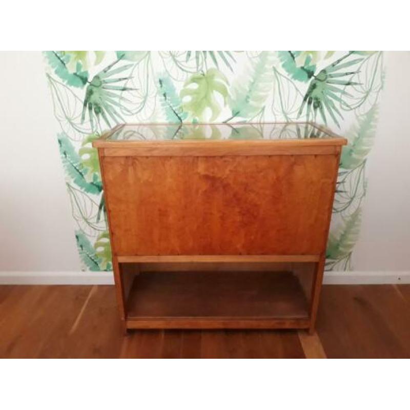 Vintage vitrine kastje toonbank