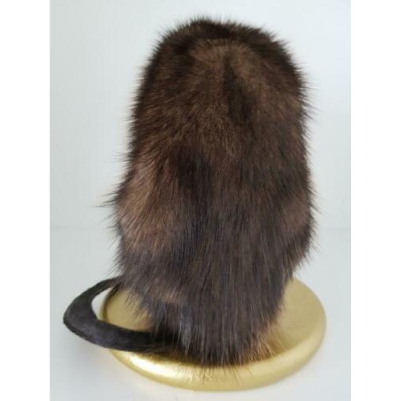 Muskusrat opgezet taxidermie taxidermy