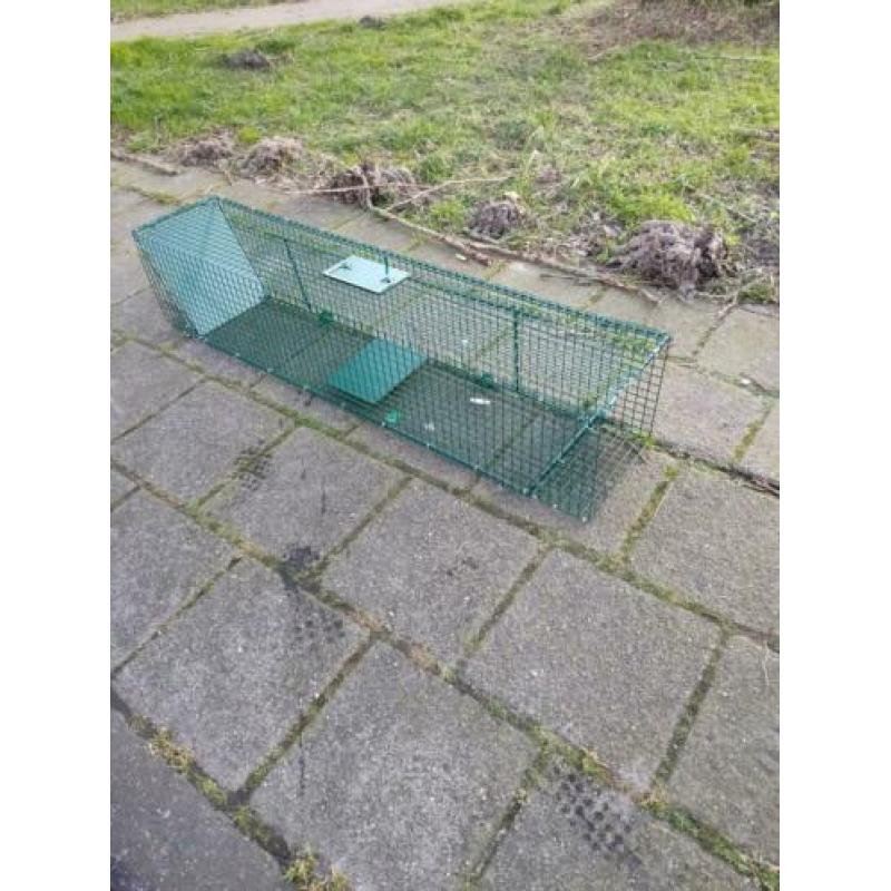 Te koop inloop kooien