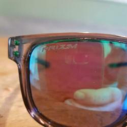 Zeldzaam mooie Oakley Holbrook R prizm sapphire