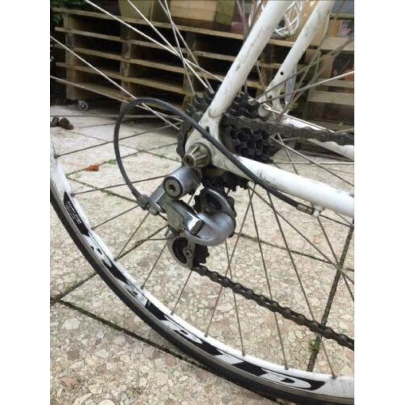 Road Bike Oldschool SharpWheel