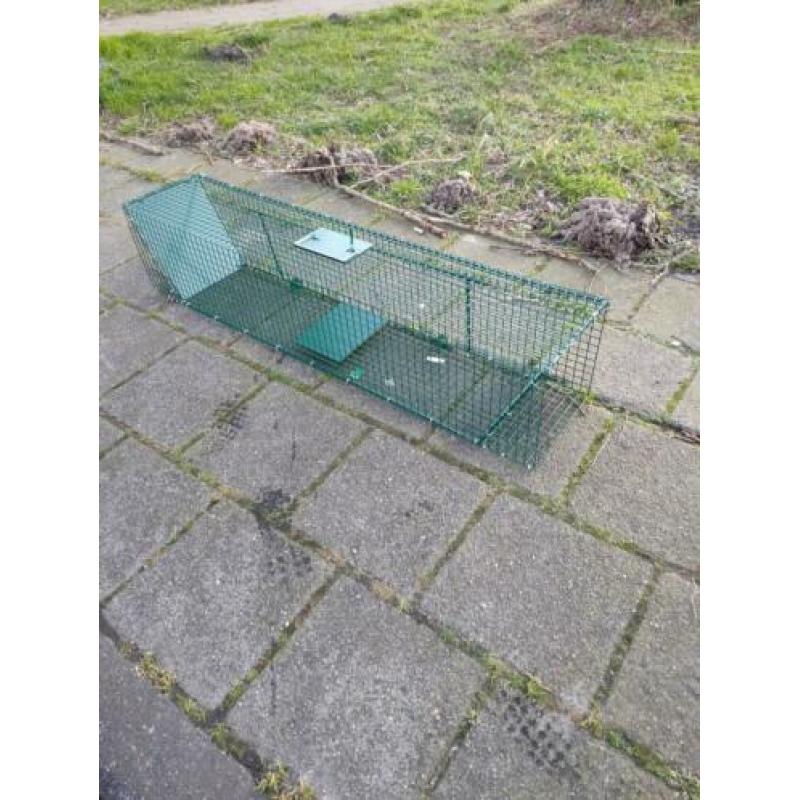 Te koop inloop kooien