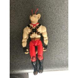 Bikermice lotje