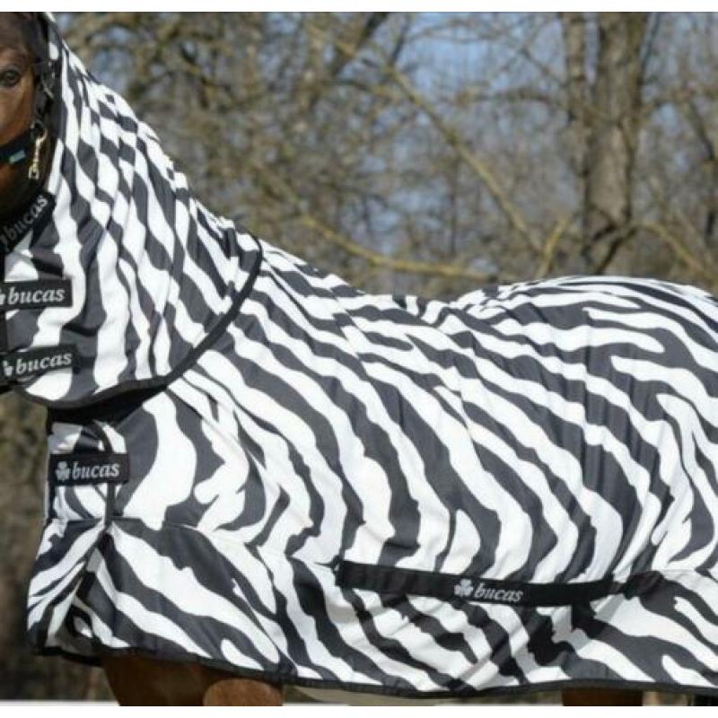 Bucas zebra itch 198