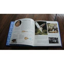 Boek Alles over Vogels