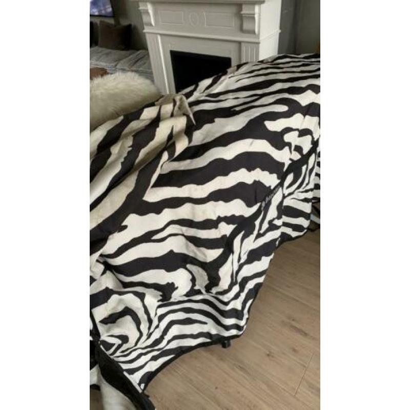 Bucas zebra itch 198