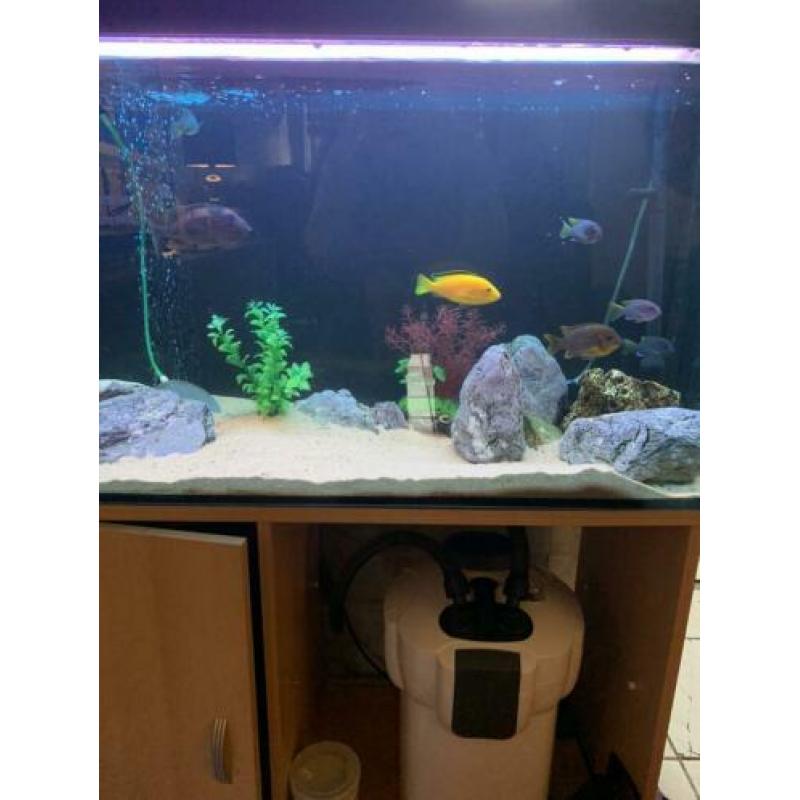 Aquarium 1 meter