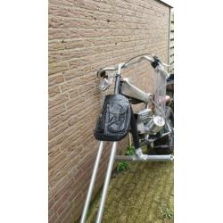 carnaval loop motor