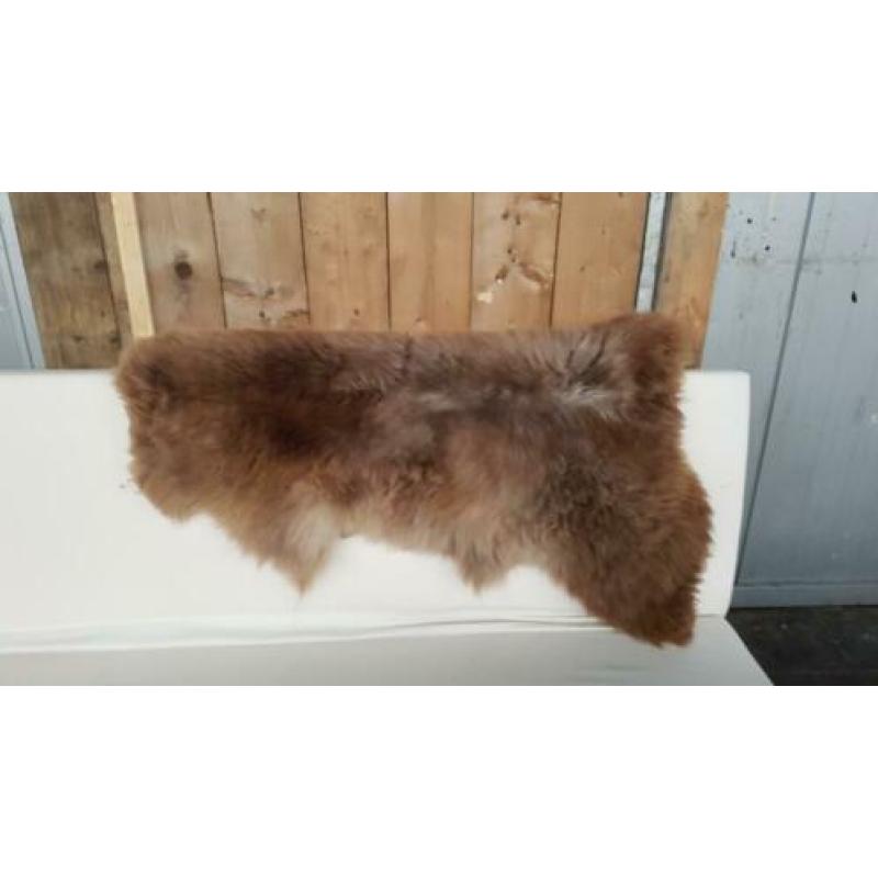 Nieuwe vachten direct van de looyerij. Prijs €25/€30/€35