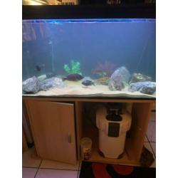 Aquarium 1 meter