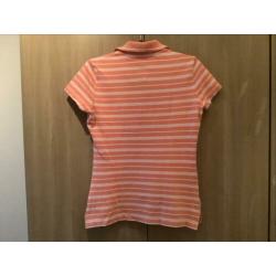 Ds, Polo. mt, S. Tommy. Hilfiger