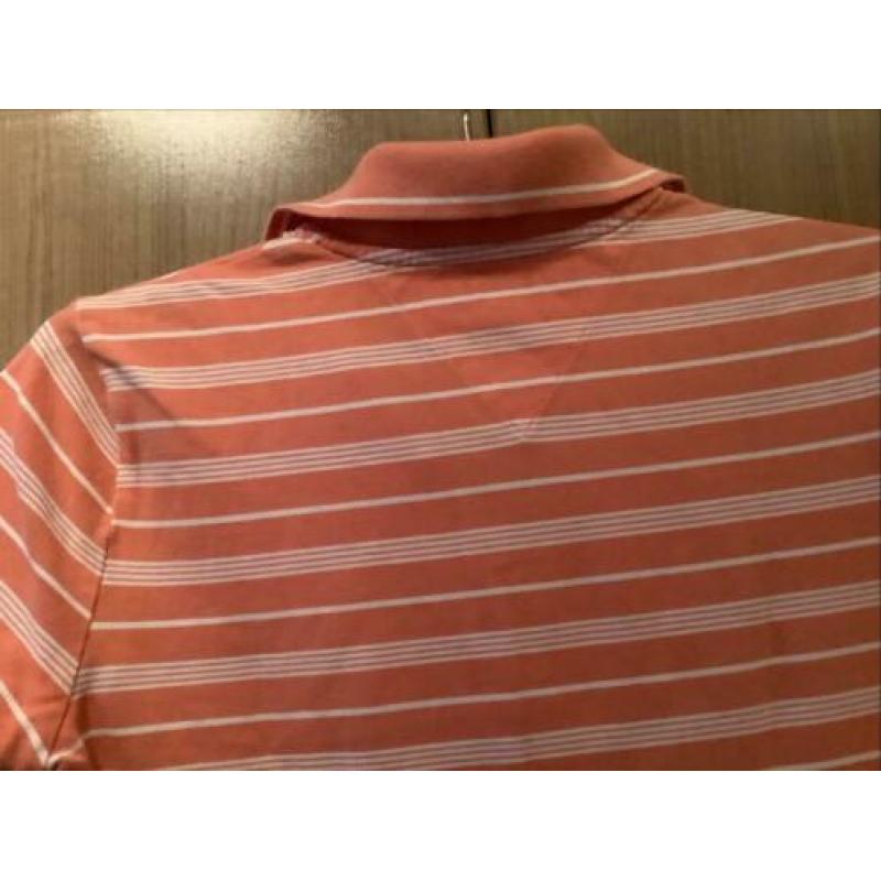 Ds, Polo. mt, S. Tommy. Hilfiger
