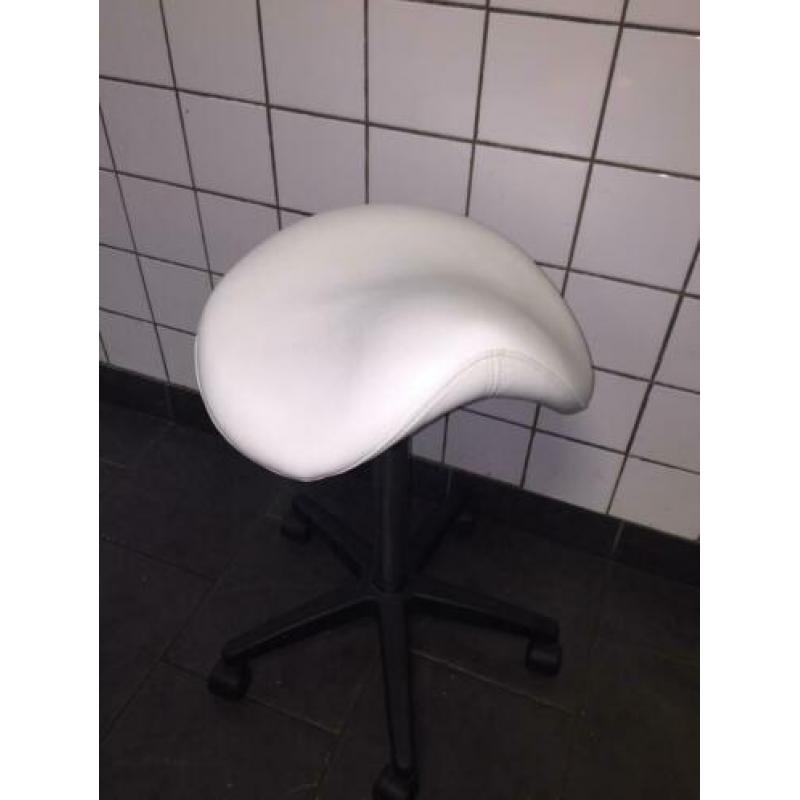 Zadelkruk 2 maanden oud goeie kwalitijdt