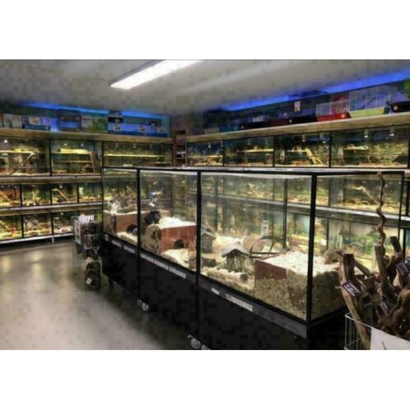 Bakje krekels maat 2 t/m 8 te koop