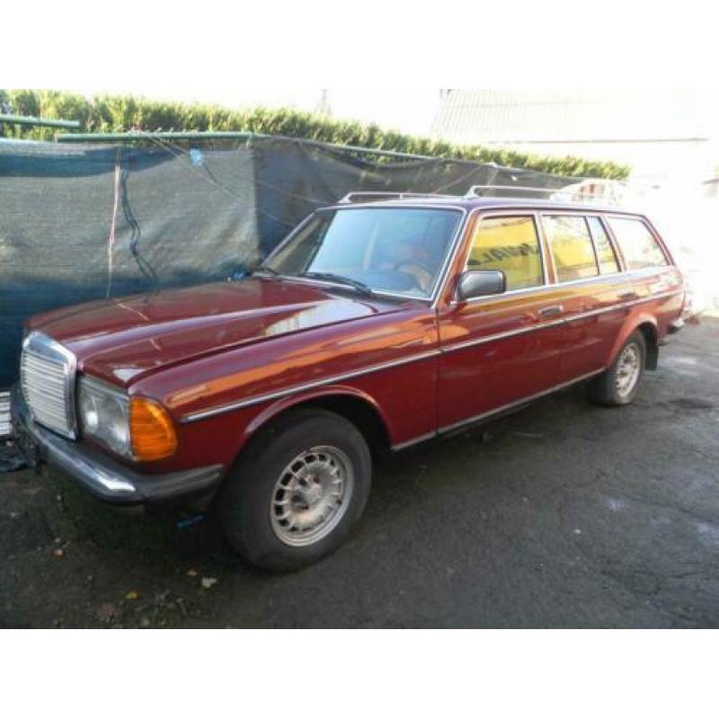 oldtimer mercedes w123 300td