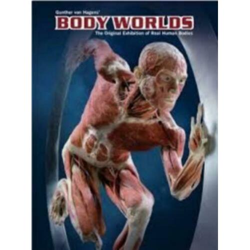 Gunther von Hagen's BODY WORLDS the original exhibition