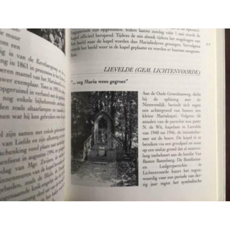 Wees gegroet - Kapellen langs velden en wegen in Gelderland