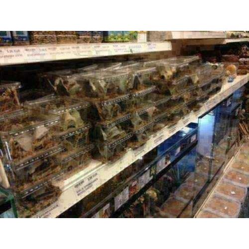 Bakje krekels maat 2 t/m 8 te koop