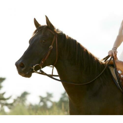 Bijrijder/ verzorger gezocht Ermelo/Harderwijk