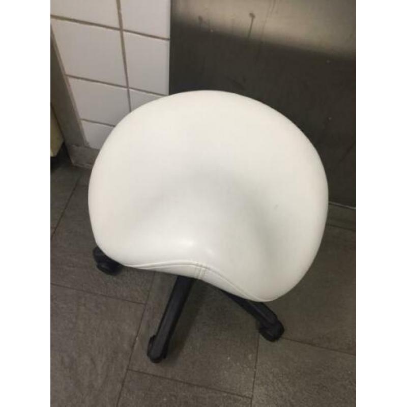 Zadelkruk 2 maanden oud goeie kwalitijdt