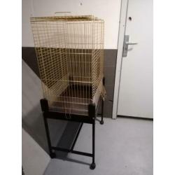 Mooie gouden kooi compleet