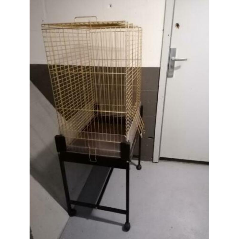 Mooie gouden kooi compleet