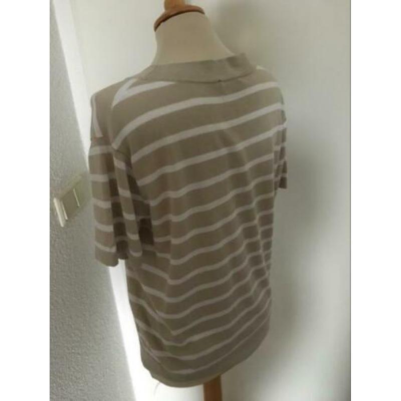 Purdey top M