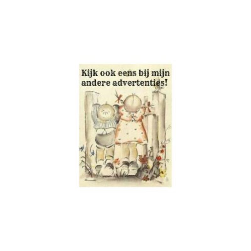 Klompen klompjes delfts blauw MS handmade Holland