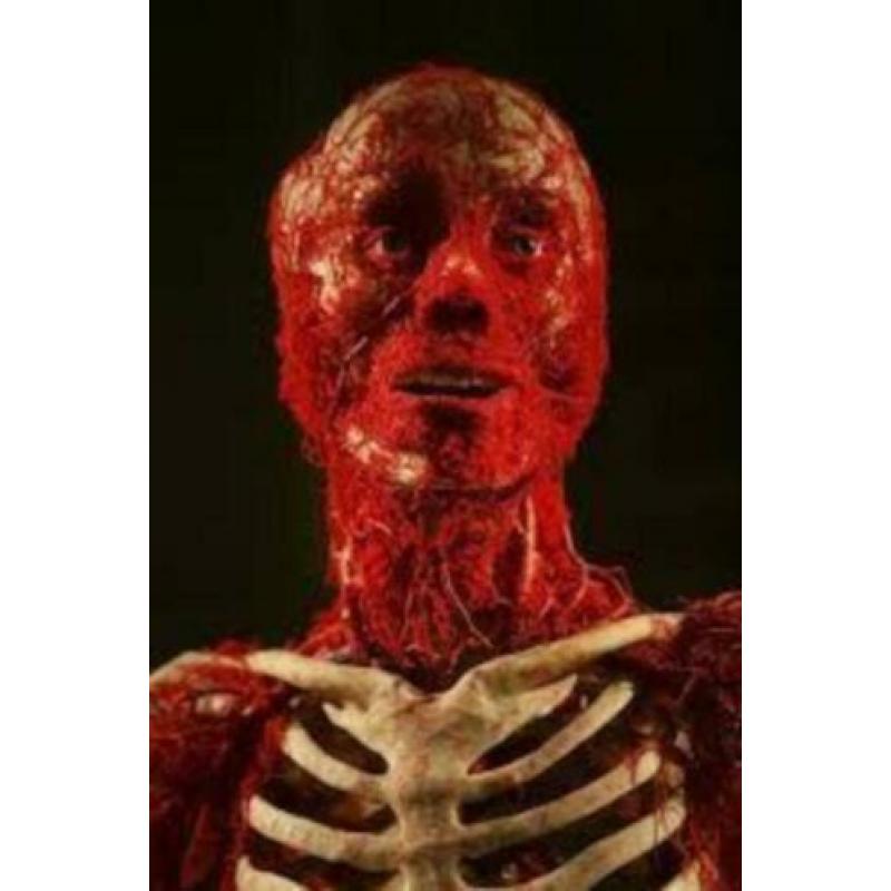 Gunther von Hagen's BODY WORLDS the original exhibition