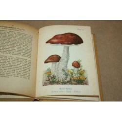 Fraai oud boek over paddestoelen - Met kleurenlitho's !!