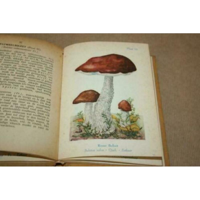 Fraai oud boek over paddestoelen - Met kleurenlitho's !!