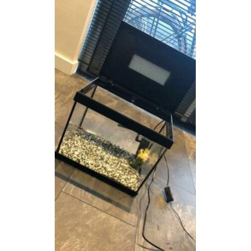 Super fish aquarium compleet