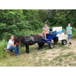 Ijskarretje voor pony tot 105 cm